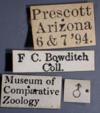 Media type: image;   Entomology 35063 Aspect: labels 3
